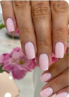 Short Nails Acrylic Colors, Nail Ideas Regular Polish, Coffin Pink Nails Short, Baby Pink French Tip Nails Square Short, Manicure Ideas For Natural Nails, Nail Inspo Plain, Plain Square Nails, Matt Pink Nails, Shirt Pink Nails