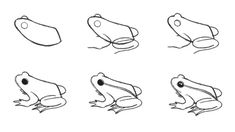 how to draw a frog's head step by step instructions for beginners photo