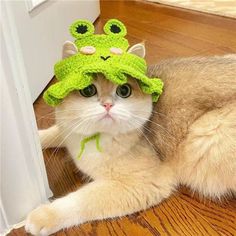 a cat wearing a crocheted frog hat laying on the floor