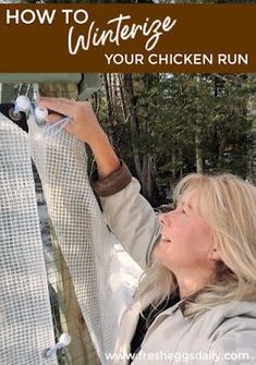 Winter Chickens, Winterize Chicken Run, Winter Chicken Coop Ideas, Chicken Run, Chicken Coop Winter, Chickens In The Winter