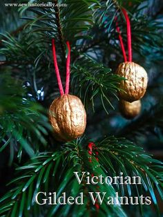 two golden ornaments hanging from the branches of a pine tree with text overlay that reads victorian gilded walnuts