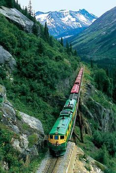 a train traveling down tracks next to lush green hillside covered in trees and snow capped mountains