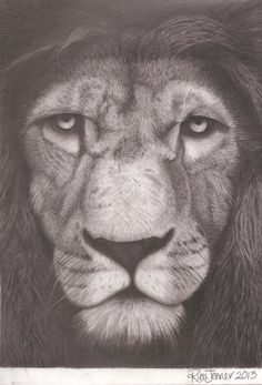 a black and white photo of a lion's face