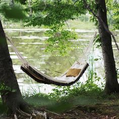 a hammock hanging between two trees in front of a body of water,