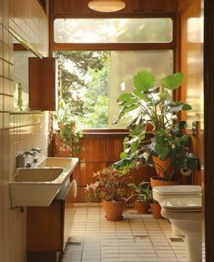 a bathroom with a toilet, sink and potted plants in the window sill