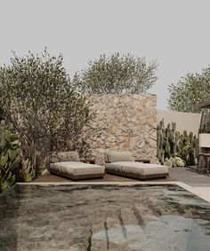 an artistic rendering of a pool with lounge chairs and cactus trees in the back ground