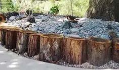 the tree trunks have been cut down and are being used as planters for landscaping