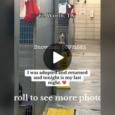 an image of a video posted to someone on the subway platform that says, i was adopted and returned and tonight is my last night