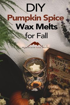 pumpkin spice wax melts for fall with text overlay that reads diy pumpkin spice wax melts for fall