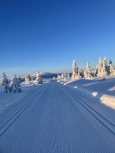 the road is lined with snow and pine trees on both sides, as well as tracks in the snow