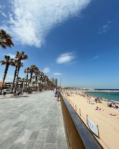 the beach is crowded with people and palm trees