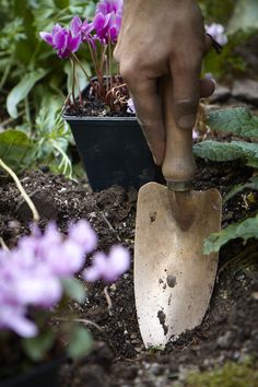 a person is digging in the dirt with a shovel and flower pot behind them,