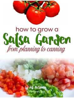 how to grow a salsa garden from planning to canning