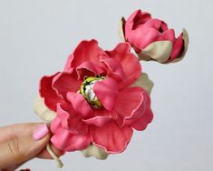 two pink flowers are being held up by someone's hand with one flower in the middle