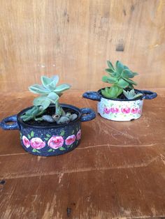 two potted plants sitting on top of a wooden table with succulents in them