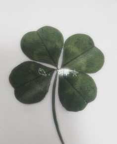 a four leaf clover is shown on a white background with the word love spelled below it