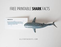 there is a fake shark that is on the wall next to a business card for free printable shark fact