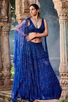 Organza Lehenga, Embroidered Lehenga, Embroidered Border, Organza Dupatta, Pattern Embroidery, Lehenga Designs, Blue Fits