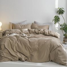 an unmade bed in a white room with a potted plant on the side