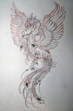 a drawing of a bird with red and white feathers on it's back side