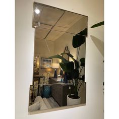 a mirror that has some plants in it