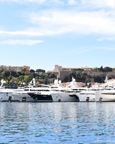 there are many boats docked in the water