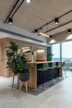 an office with plants and chairs in it