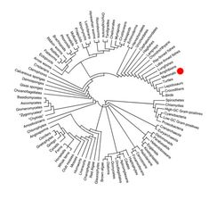 a circular diagram with the words you are here written in black and white on it