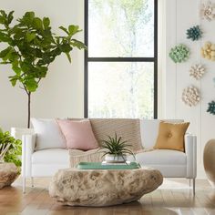 a living room filled with furniture and a potted plant on top of a table