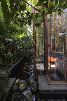 the inside of a house that is surrounded by trees and plants, with a small pond in front of it