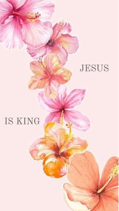 pink flowers with the words jesus is king