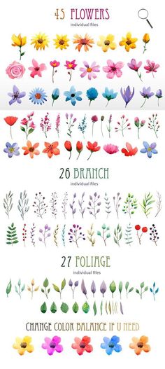 flowers are shown in different colors and sizes, with the numbers below them on each side