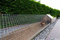 a chicken in a cage on the side of a road next to a fence and bushes