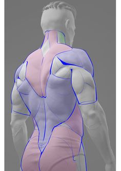 an image of a man's back and shoulder muscles