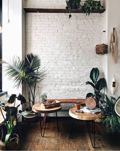 a living room filled with lots of plants next to a white brick wall and wooden floors