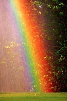 a rainbow appears to be in the sky over a green field with trees and grass