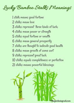 a bamboo plant with instructions for how to grow it and what to use it in the garden