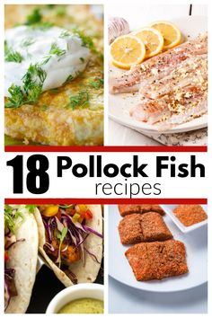 Pollak Fish Recipes