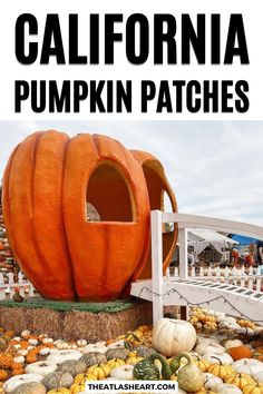 A white footbridge leading to a giant, fiberglass pumpkin-house surrounded by decorative gourds and pumpkins, with the text overlay, "California Pumpkin Patches." Folsom California, Escondido California, San Diego Activities, Best Pumpkin Patches, Pumpkin Farm, Pumpkin Picking, Redondo Beach