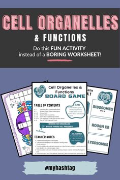 cell organelles and functions worksheet for the cell organulee activity