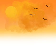 birds flying in the sky at sunset with clouds and sunbeams behind them on an orange background