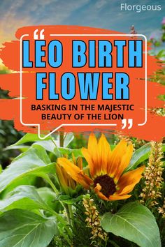 Leo Birth Flower Leo Birth Flower, Leo Zodiac Sign, Leo Zodiac