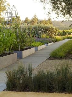 an outdoor garden area with various plants and flowers on the ground, along side a walkway