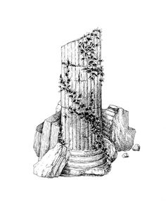 an ink drawing of a column with vines growing on it's sides and rocks around it