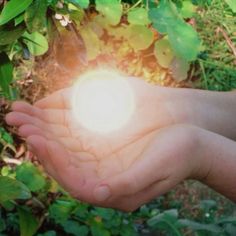 a person holding out their hand with the light shining through it in front of some green plants