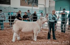 two women standing next to a white cow in a pen with other people looking on