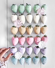 there are many different kinds of strawberries hanging on the wall with flowers and leaves