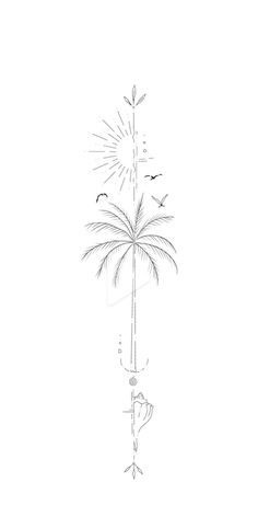 a drawing of a palm tree with birds flying around it