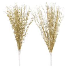 two tall white vases with dried plants in them