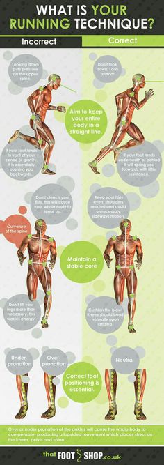 an info poster showing the different muscles and their functions in bodybuilding, including legs